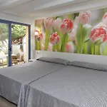 Amaraigua (adults Only)