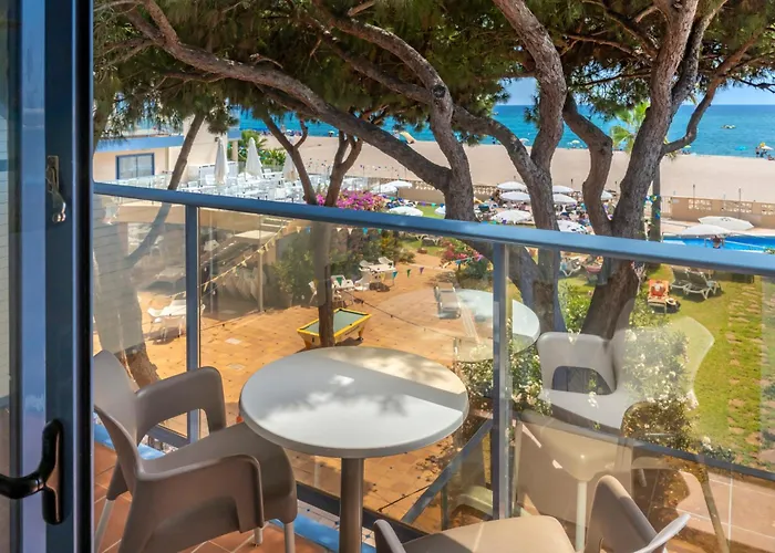 酒店 Amaraigua (adults Only) 4*