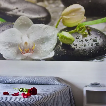 Hotel Amaraigua (adults Only) Malgrat de Mar