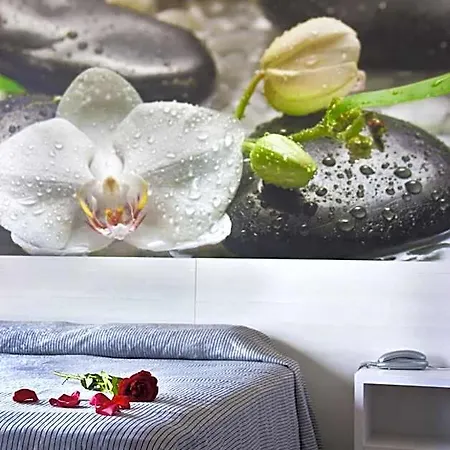 Amaraigua (adults Only) 4*