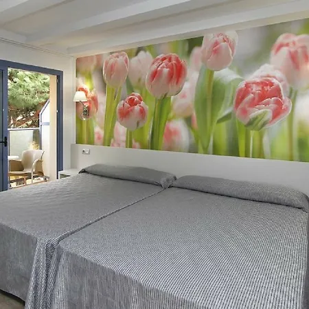 Amaraigua (adults Only) 4*