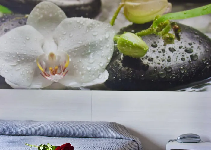 Hotel Amaraigua (adults Only) Malgrat de Mar